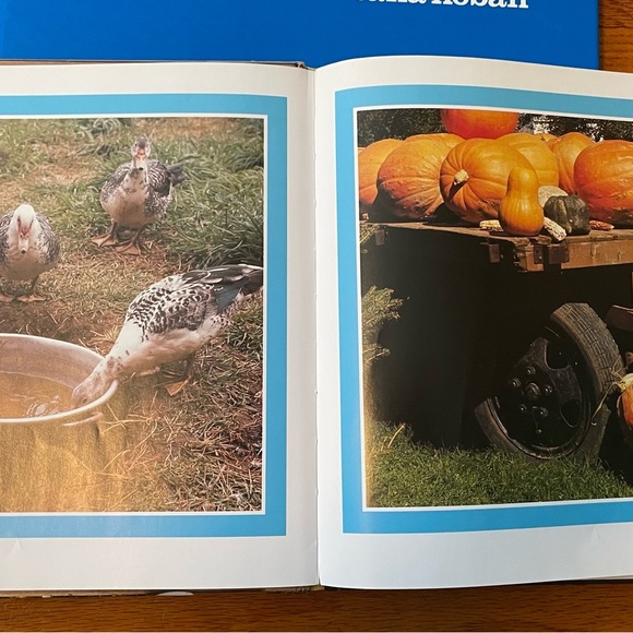 Tana Hoban Book Lot - Picture 3 of 7